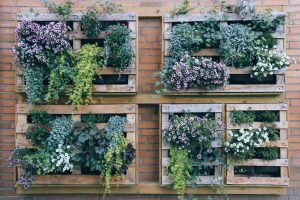 Creare un angolo verde sul tetto o sul terrazzo